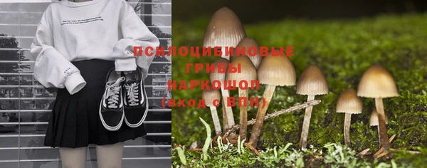 apvp Алексин