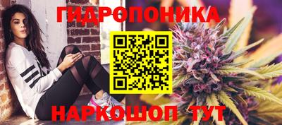 дживик Бийск