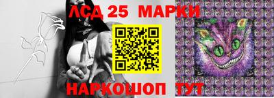 Альфа ПВП Беслан