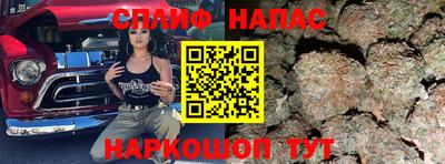 дживик Бийск