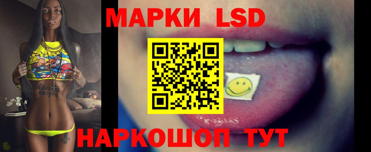 Богданович  ЛСД экстази ecstasy  Вход с VPN 