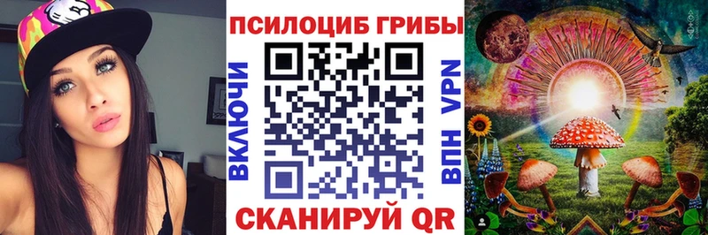 сайты даркнета состав  купить   Богданович  Псилоцибиновые грибы Magic Shrooms 