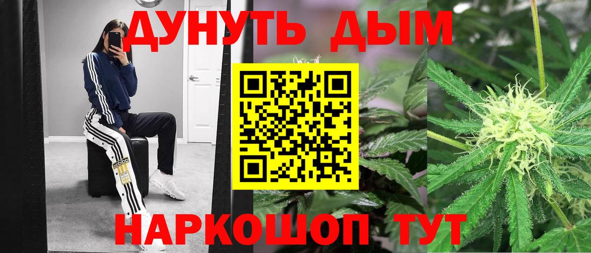 Шишки марихуана марихуана Богданович